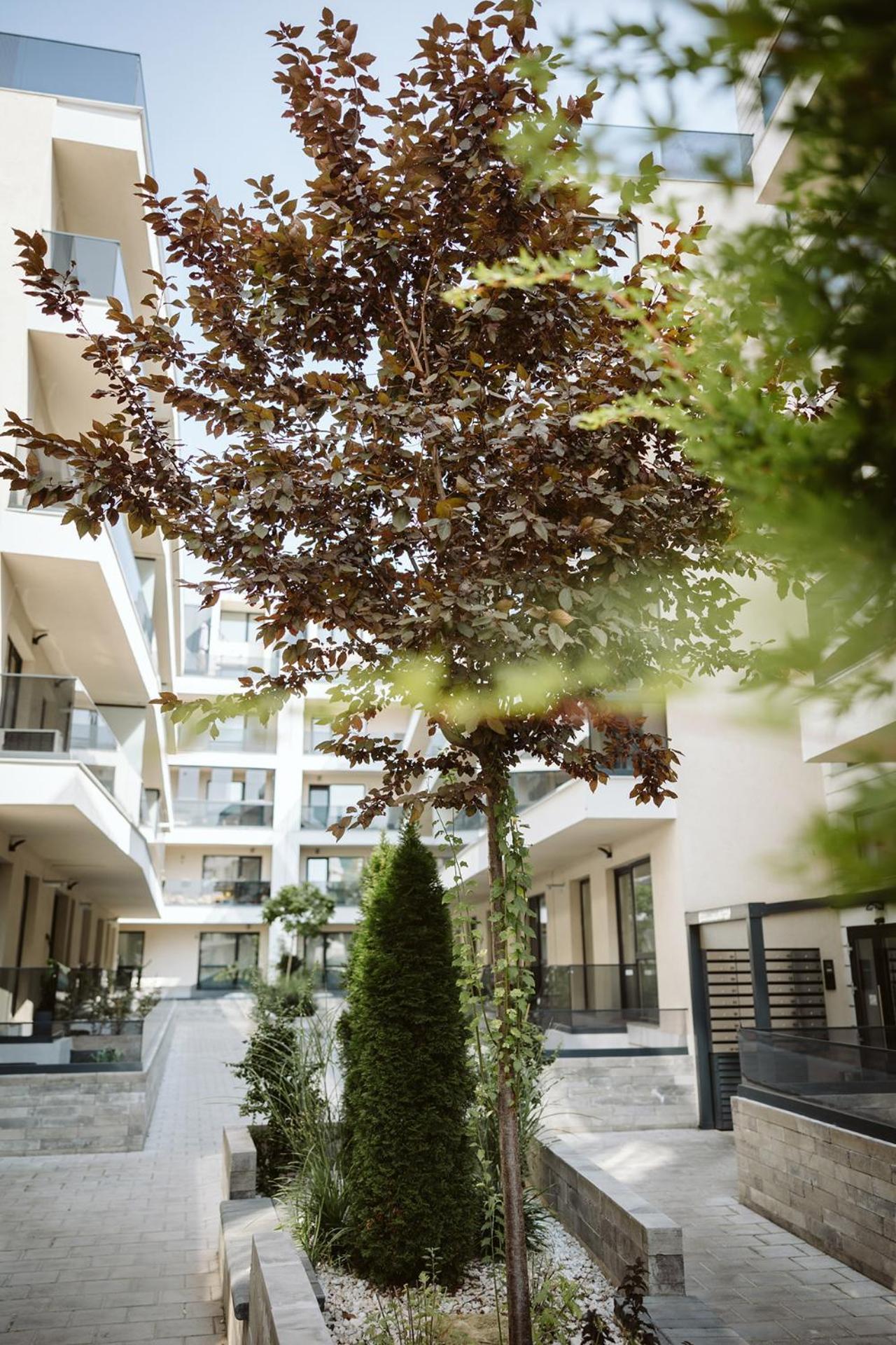 Dec Apartments Bucareste Exterior foto